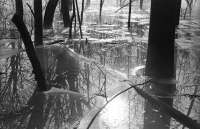 this should be the title