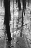 view photo