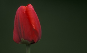 view photo