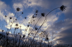 view photo
