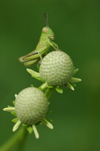 view photo
