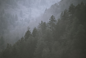 view photo