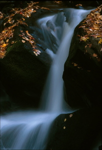 view photo