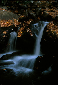 view photo