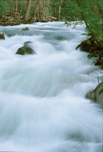 view photo
