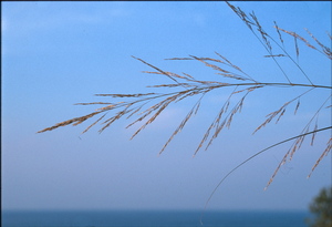 view photo